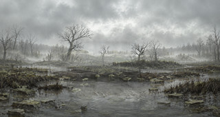 DMUL-marsh wallpaper