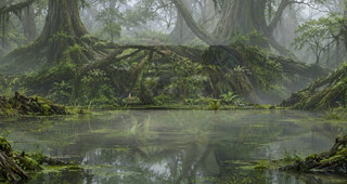 DMUL-wetlands wallpaper